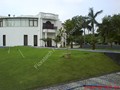 pic1